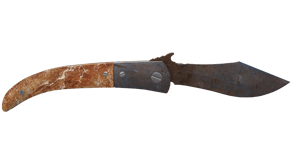 Rust Coat image