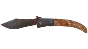 Rust Coat image