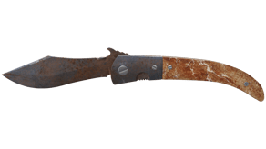 Rust Coat image