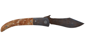 Rust Coat image