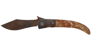 Rust Coat image