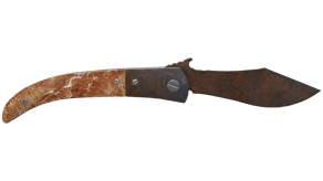 Rust Coat image