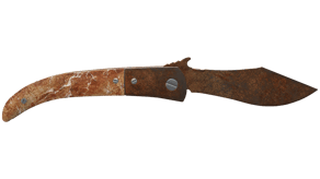 Rust Coat image