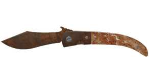 Rust Coat image