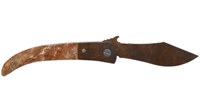 Rust Coat image