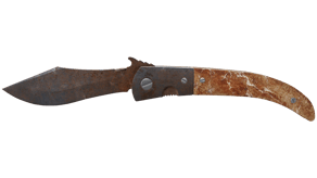 Rust Coat image