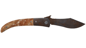 Rust Coat image