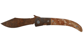 Rust Coat image