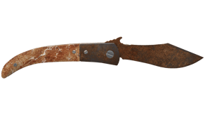 Rust Coat image