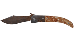 Rust Coat image