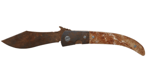 Rust Coat image
