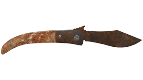 Rust Coat image