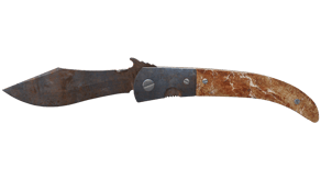 Rust Coat image