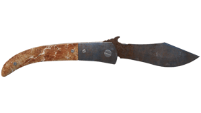 Rust Coat image