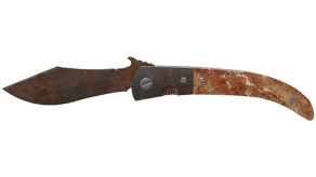 Rust Coat image