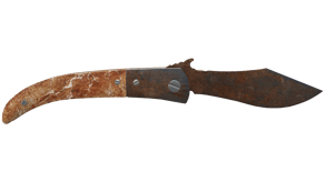 Rust Coat image