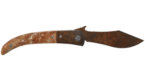 Rust Coat image