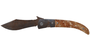 Rust Coat image