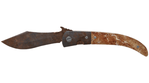 Rust Coat image