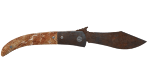 Rust Coat image