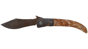 Rust Coat image