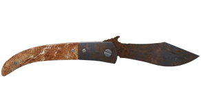 Rust Coat image