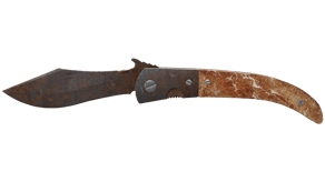 Rust Coat image