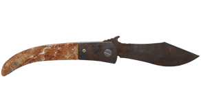 Rust Coat image