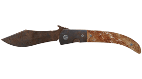 Rust Coat image