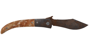Rust Coat image