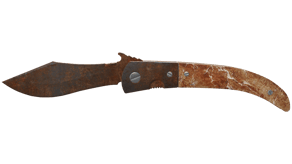 Rust Coat image