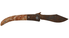 Rust Coat image