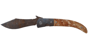 Rust Coat image