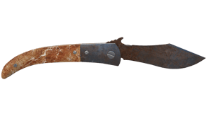 Rust Coat image