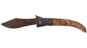 Rust Coat image