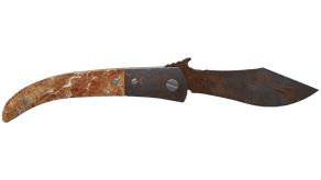 Rust Coat image