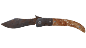 Rust Coat image