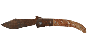 Rust Coat image