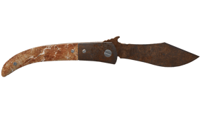 Rust Coat image