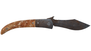 Rust Coat image