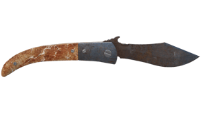 Rust Coat image