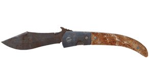 Rust Coat image