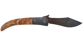Rust Coat image