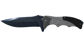 Blue Steel image