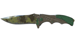 Boreal Forest image