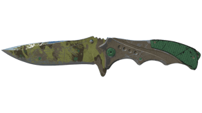 Boreal Forest image