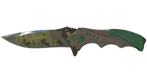 Boreal Forest image