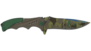 Boreal Forest image
