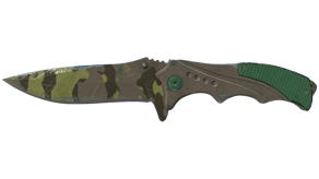 Boreal Forest image