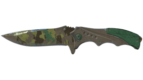 Boreal Forest image
